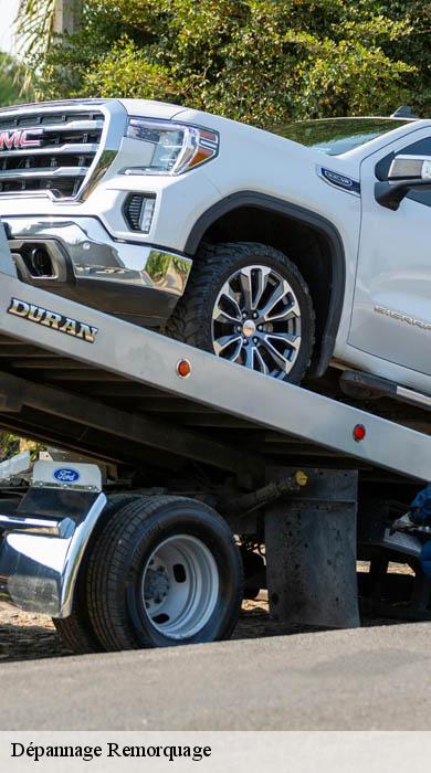 Dépannage Remorquage   saint-christaud-31310 SJ Dépanage - Remorquage 